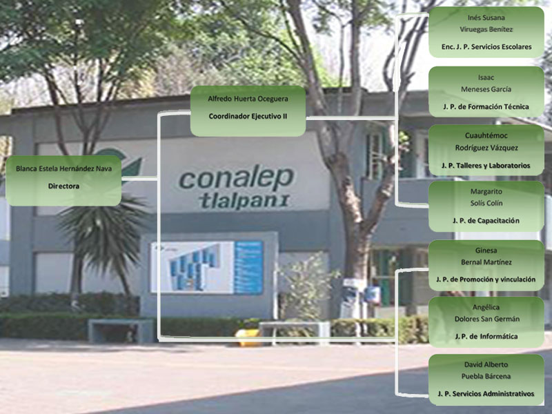 Estructura Administrativa | CONALEP CDMX - TLALPAN I
